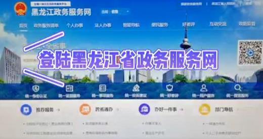 全程电子化网上企业登记流程操作指引